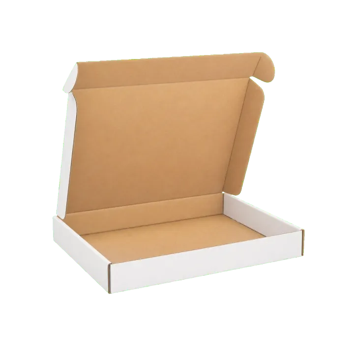 Literature Mailers packaging structure