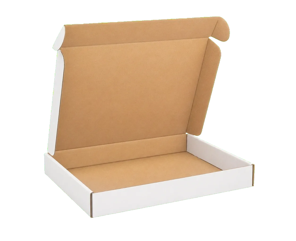 Literature mailer closed front three-quarter view showing custom corrugated board structure and branded shipping form
