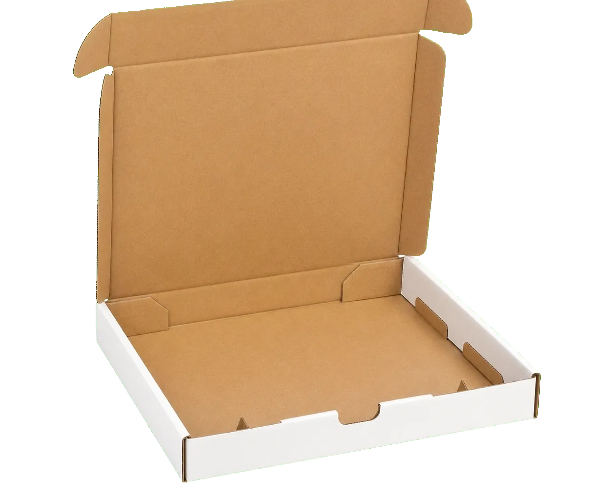 Literature mailer open view showing interior flaps, product area, and corrugated protection structure