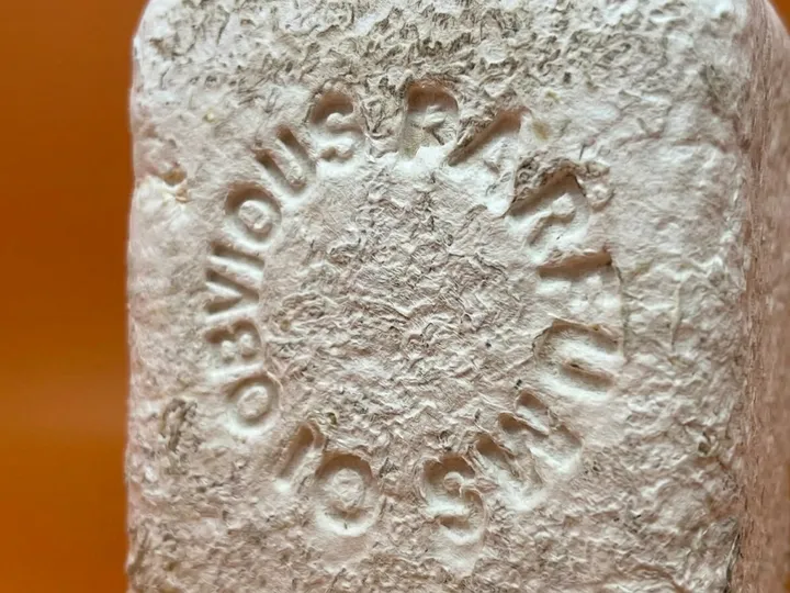 Molded lettering formed in the rough surface of mycelium packaging