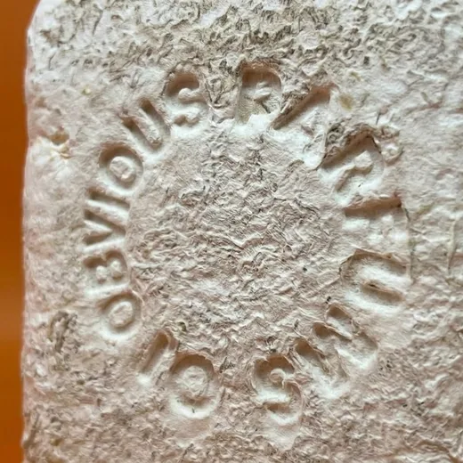 Molded relief lettering in mycelium packaging