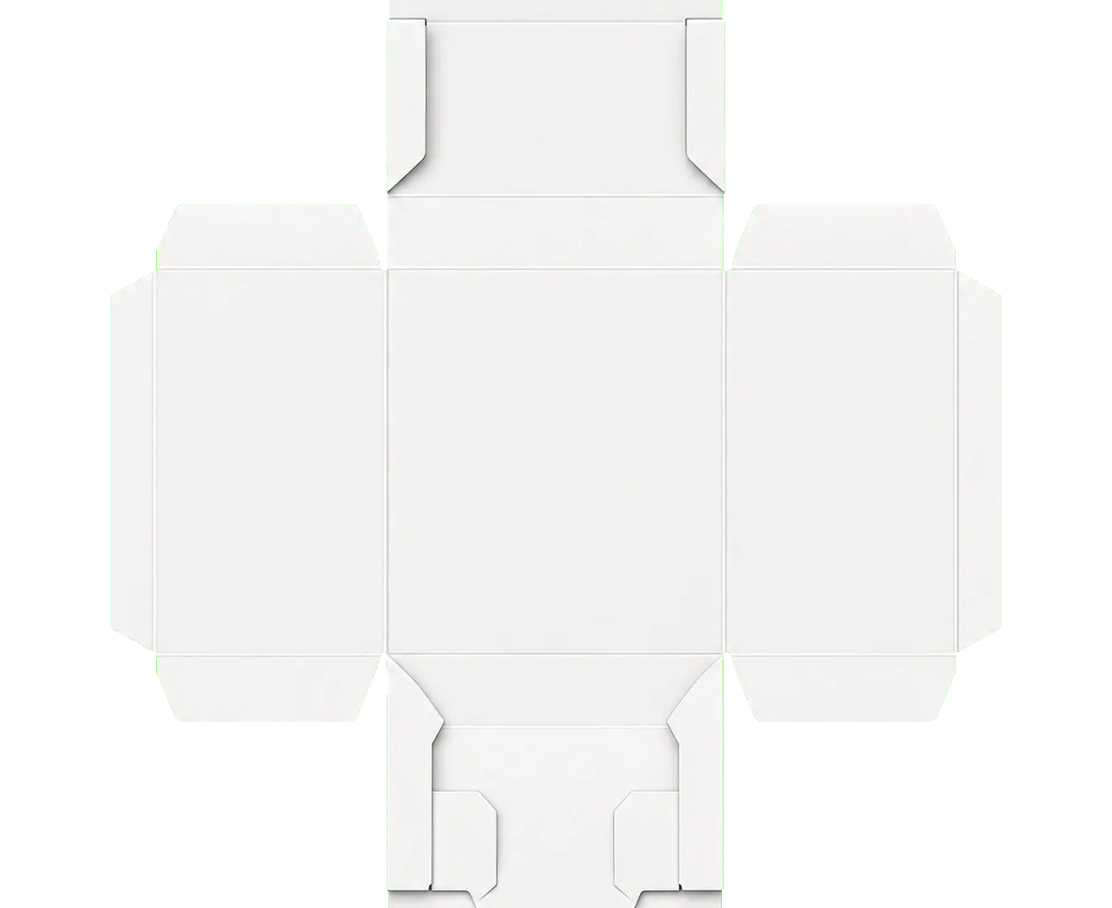 RTE box unfolded carton blank with connected panels, flaps, and crease lines