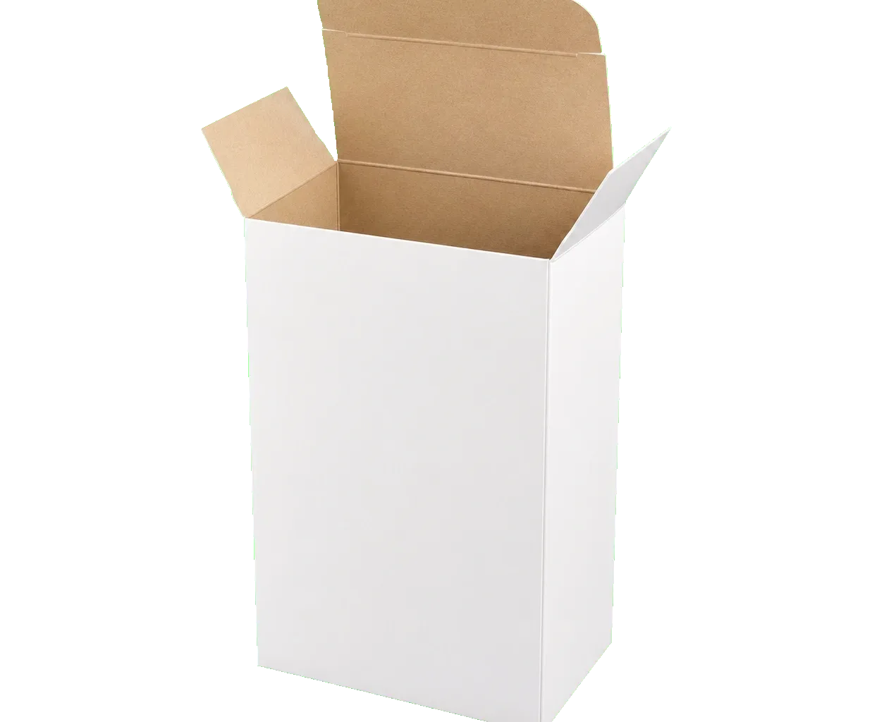 Seal end box open view showing tuck flaps and inner paperboard structure