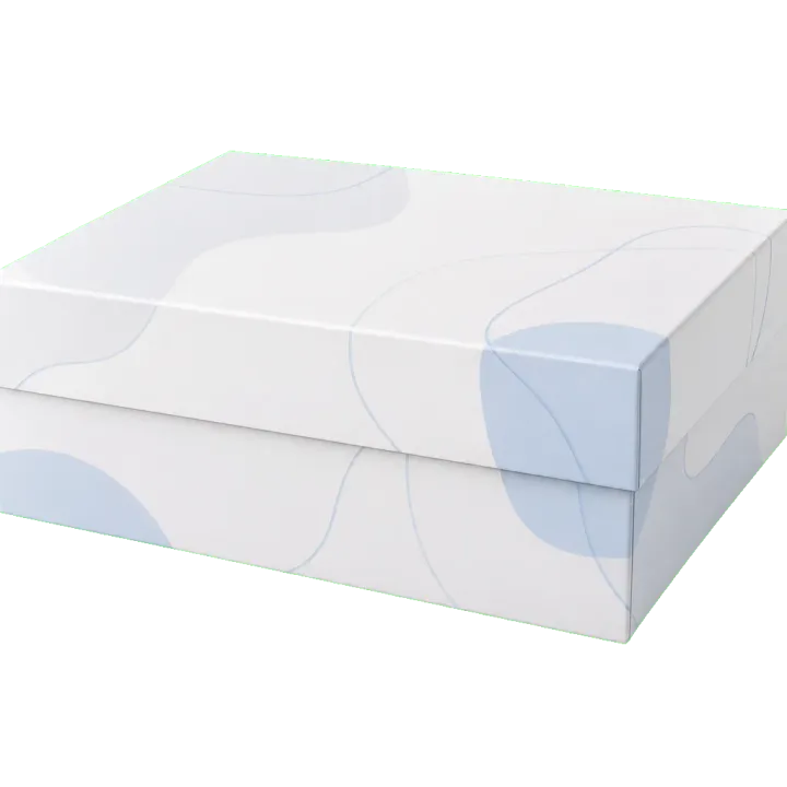 Two-Piece Rigid Boxes packaging structure